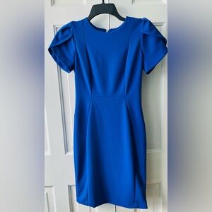 Calvin Klein’s Women's Royal Blue, Tulip Sleeve Sheath dress Size (4)